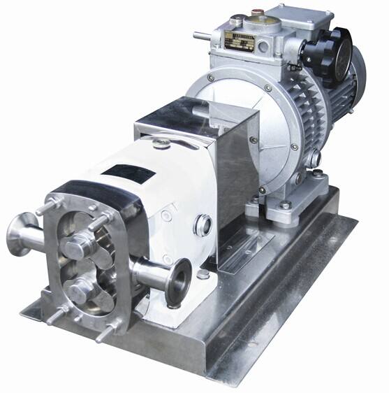 轉(zhuǎn)子泵在使用時(shí)需要注意哪些?